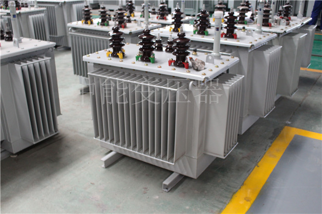 山南S22-250KVA/10KV变压器